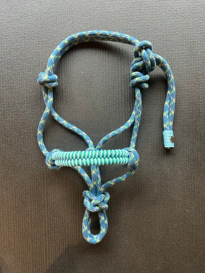 Licol tressage Fallin