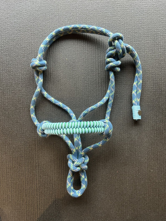 Licol tressage Fallin corde Bleu-vert
