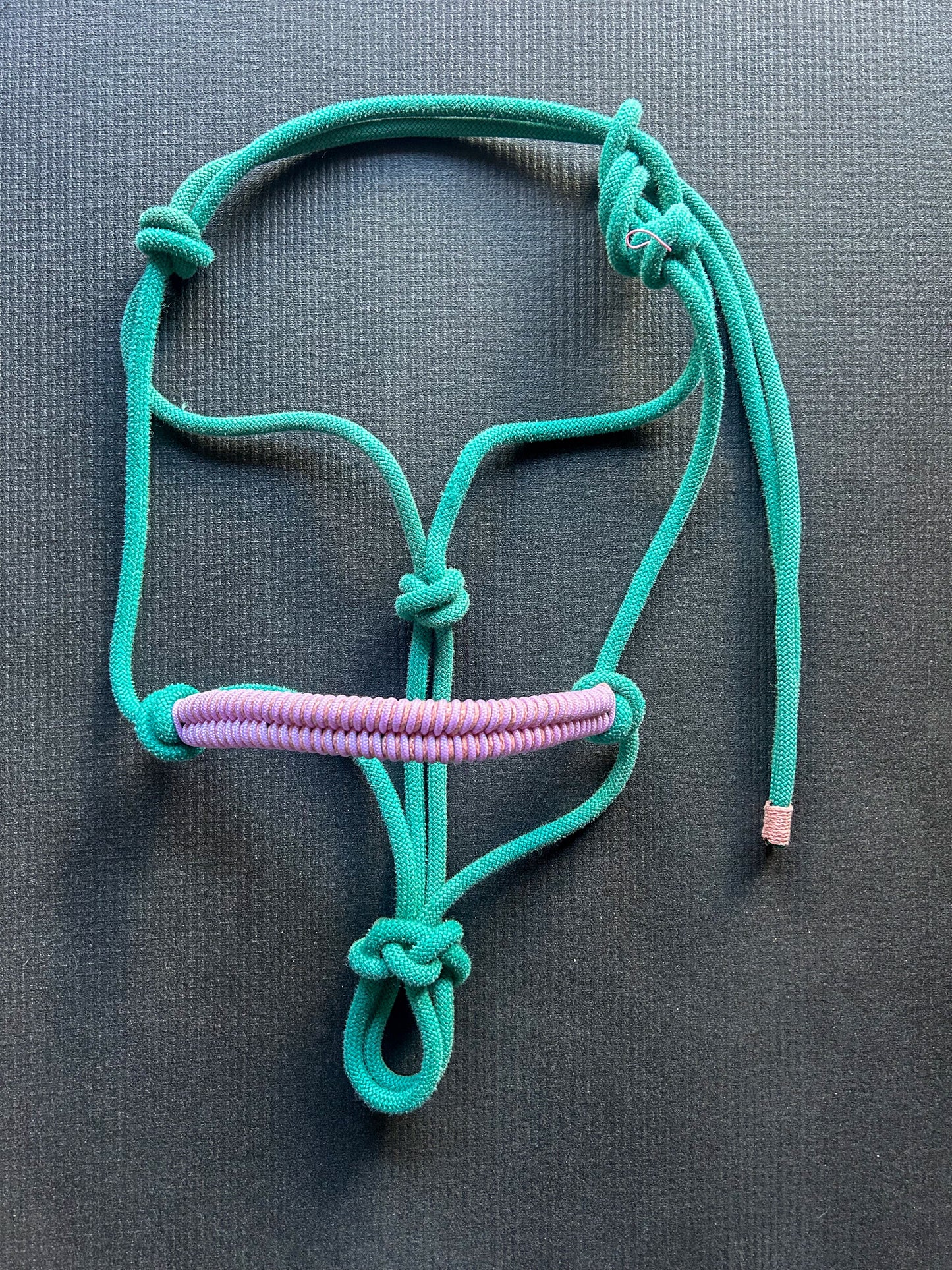 Licol tressage Fallin corde Turquoise