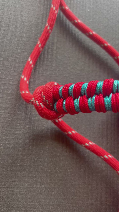 Licol tressage Storm