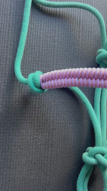 Licol tressage Fallin