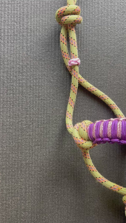 Licol prêt à partir – Tressage Hercules – Jaune/Rose – Poulain/Shetland