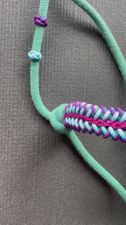 Licol tressage Lightning