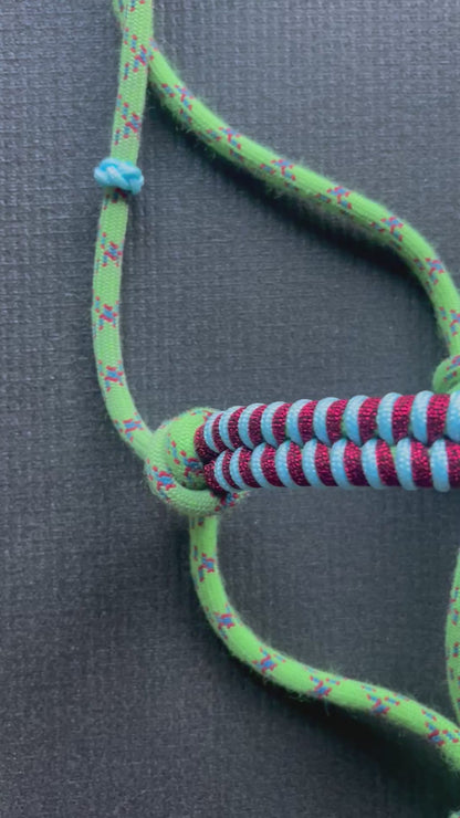 Licol tressage Fallin