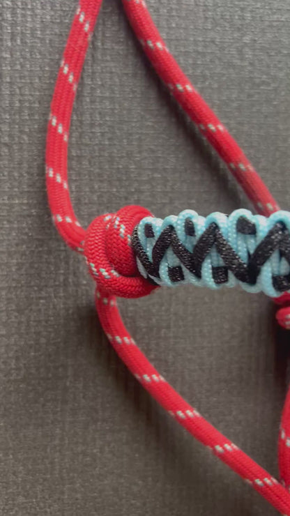 Licol tressage Avocado