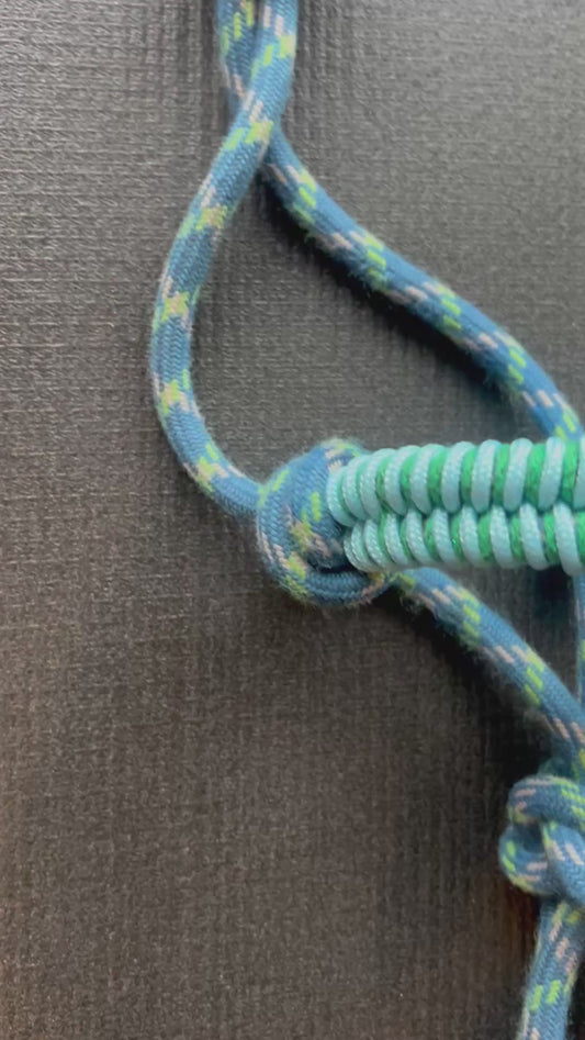 Licol prêt à partir – Tressage Fallin – Bleu/Vert