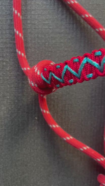 Licol tressage Avocado