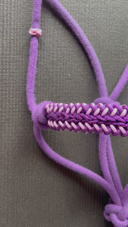 Licol tressage Lightning