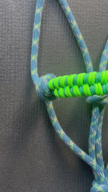 Licol tressage Storm