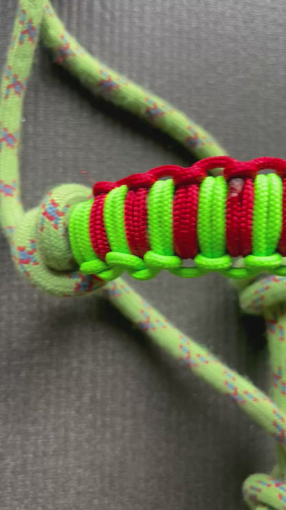 Licol tressage Hercules